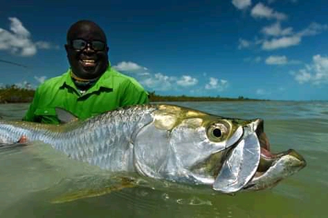 Tarpon fishing with Capt Shawn Riley, Andros Island, Bahamas
