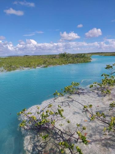 fishing with Capt. Shawn Riley, Andros Island, Bahamas